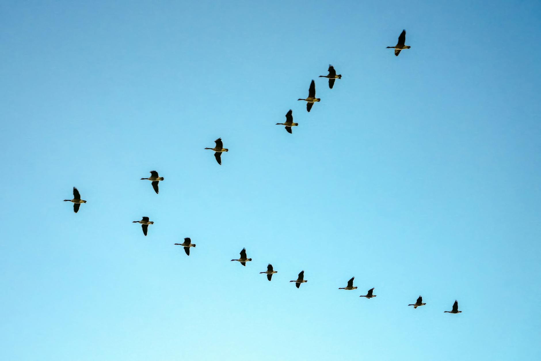 Legacy System Migration Without Operational Disruption